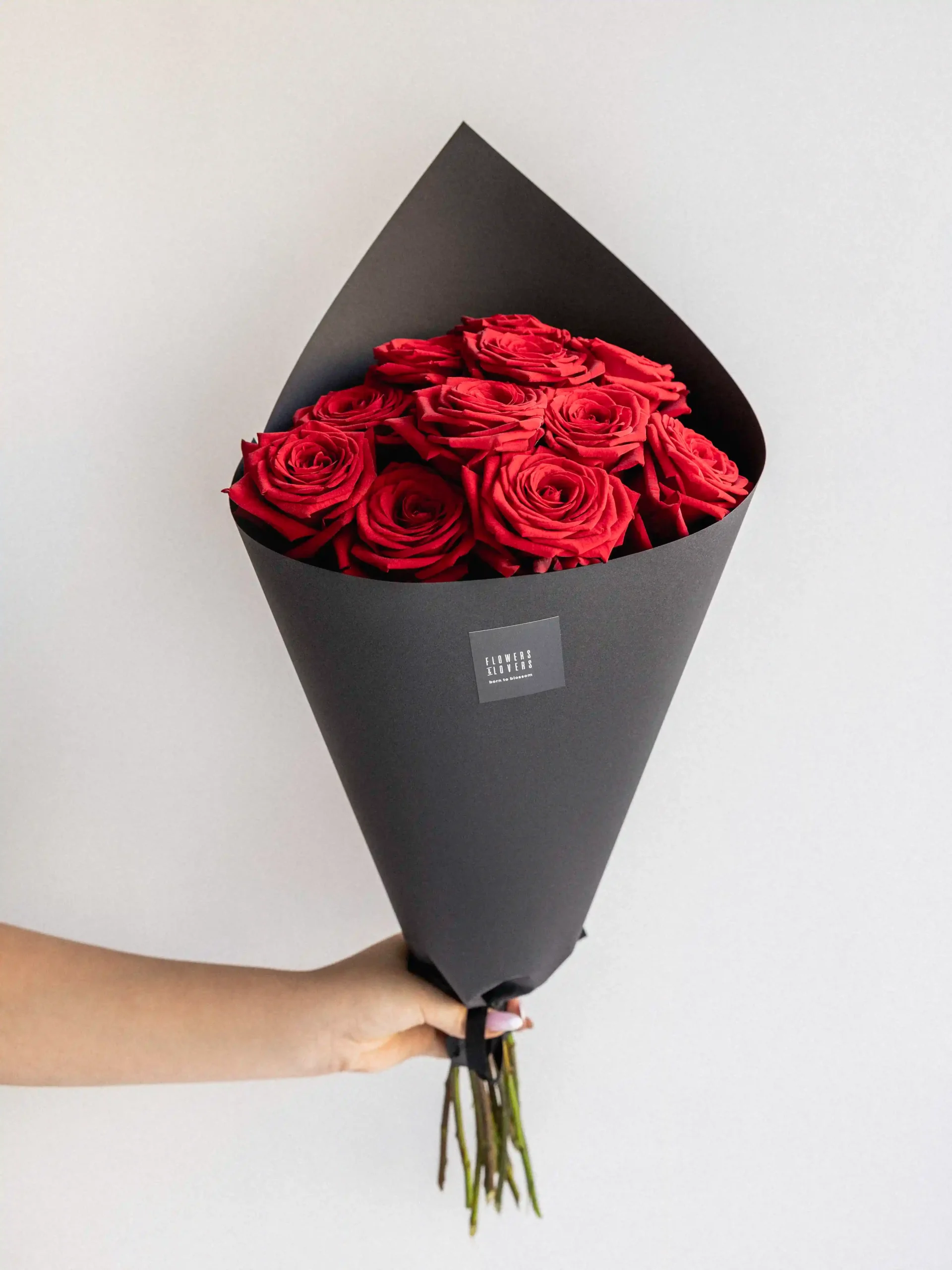 Rozes